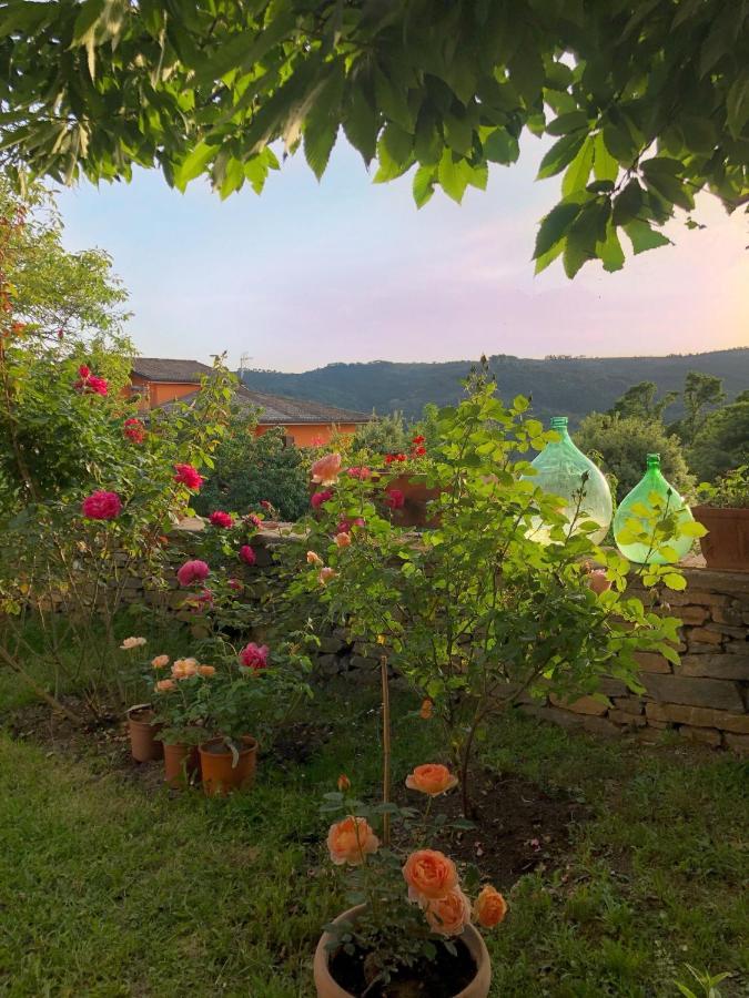 Hotel La Capannina Aritzo Dış mekan fotoğraf